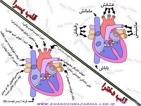 تفاوت قلب دخترها با پسرهاwww.khandehbazariha.lxb.ir